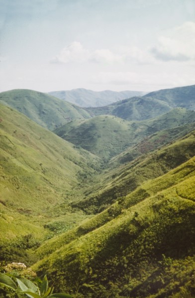 Rwenzori foothills'. A green valley in the Rwenzori (Ruwenzori) foothills. West Uganda, 1957., West