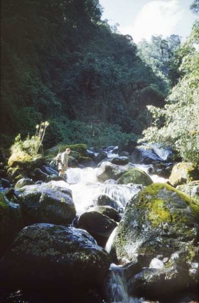 Crossing the Mobuku River. Kenya District Officer, George Webb, prepares to cross the Mobuku River
