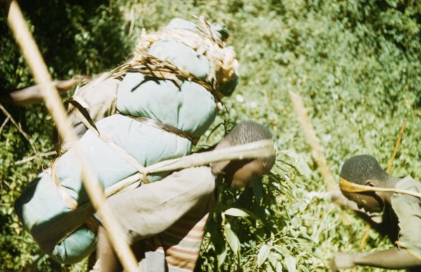 Bakonjo porters . Two Bakonjo porters carry equipment belonging to a British expedition trek into