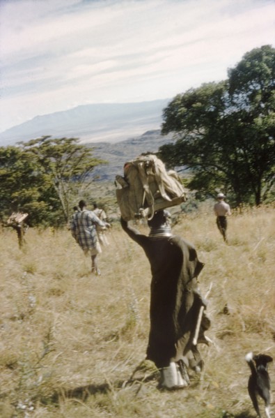 A female porter descends Mount Napak. A female porter carries equipment belonging to a British