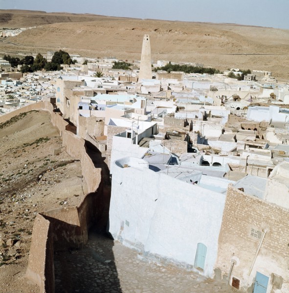 One of the oases of the Mzab valley