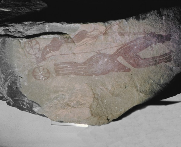 A rock painting from Tassili nAjjer, Sahara, depicting a horse and two wheeled chariot