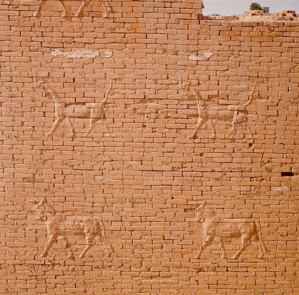 The gates of Ishtar at Babylon which were constructed during the time of Nebuchadnezzar II