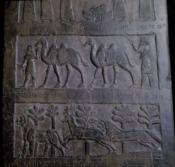 The black obelisk of Shalmaneser III