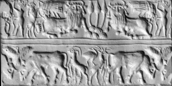 Cylinder seal with two registers