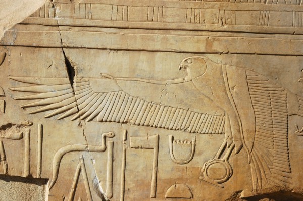 Details of a falcon clutching a solar disc from a hieroglyphic inscription