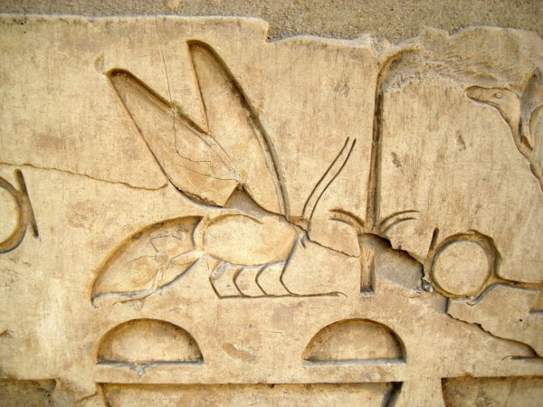 Hieroglyph of a bee from an inscription