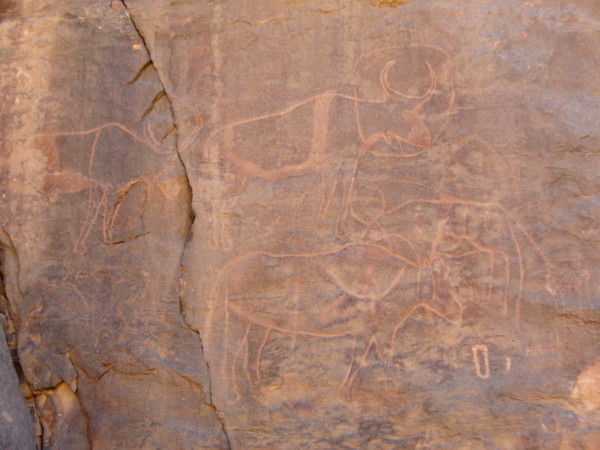 At the beginning of the Holocene the hunter gatherers of the Sahara experienced very different enviromental conditions