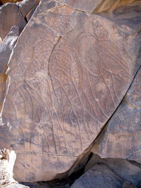 At the beginning of the Holocene the hunter gatherers of the Sahara experienced very different enviromental conditions