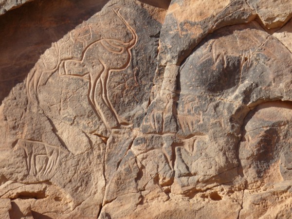 At the beginning of the Holocene the hunter gatherers of the Sahara experienced very different enviromental conditions