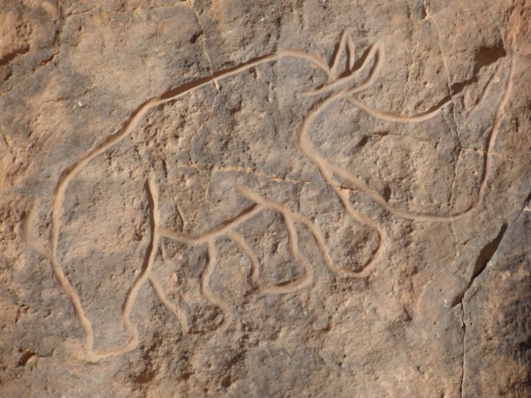 At the beginning of the Holocene the hunter gatherers of the Sahara experienced very different enviromental conditions