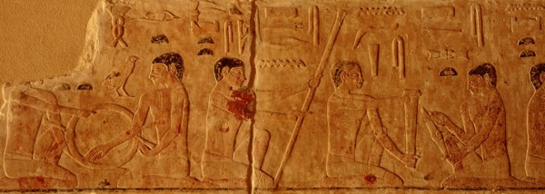 Relief from the tomb of Ankhmahor