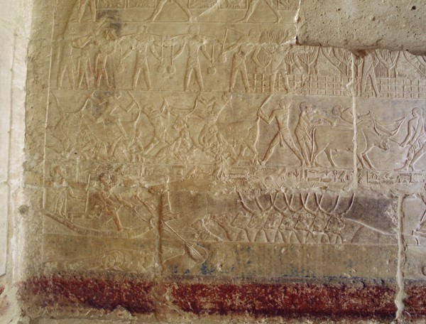 A scene in relief in the tomb of the vizier Mereruka