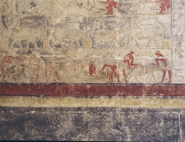 A scene in relief in the tomb of Mereruka