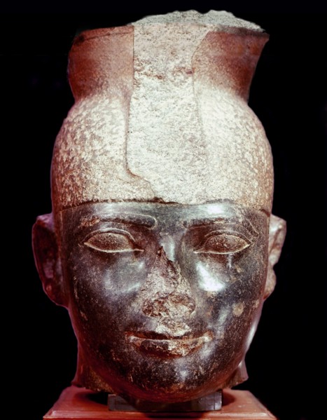 The head of king Taharka