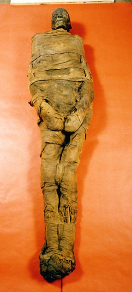 Mummy of a 30 40 year old male