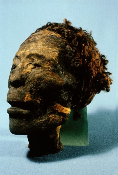 Head of mummy of a 25 35 year old male