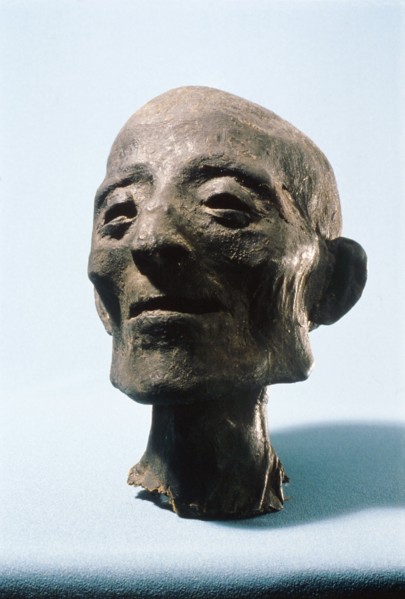 Head and neck of mummy of a 50 70 year old male