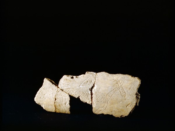 Lough Crew bone flake
