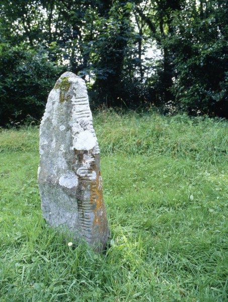 One of a group of monoliths inscribed with Ogham characters found near Colaiste Ide Co