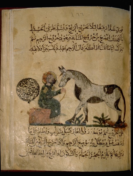Illustration from Nihayat al Sul, a Mamluk manual on horsemanship