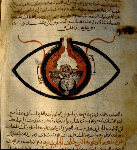 Anatomy of the eye from the islamic medical manuscript of al Mutadibi