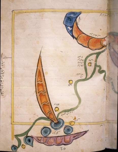 Map of Egypt by the Muslim cartographer al Idrisi, showing the Nile, the desert and dunes
