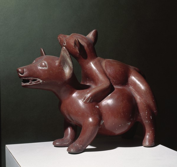Colima pottery figure of a pair of dogs copulating