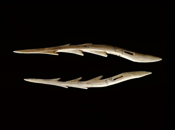 Ivory points which were probably attached to the heads of bird spears