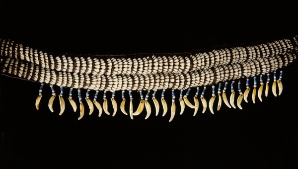 Womans belt made from caribou incisors, beads and the canine teeth of a large mammal, possibly a grizzly bear