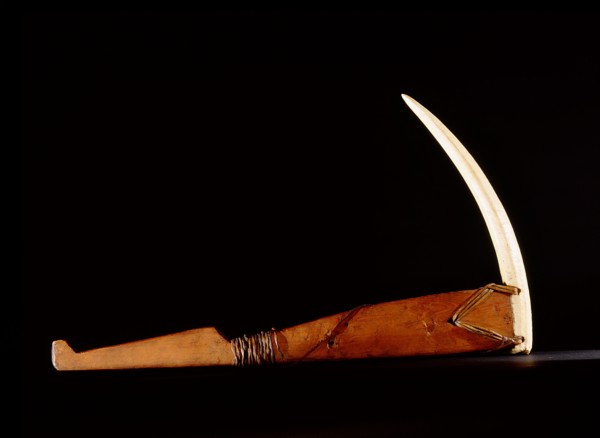 Pick made from a walrus tusk point lashed to a wooden handle