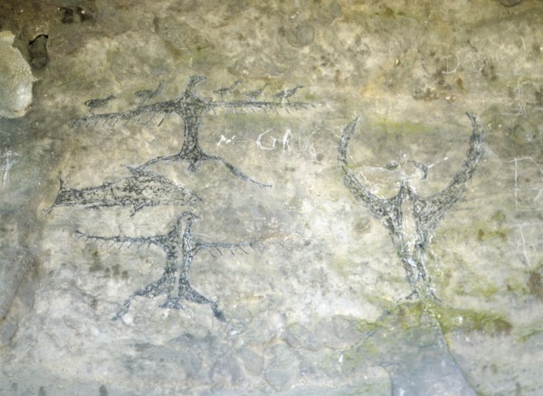 An early Maori rock drawing, from a limestone shelter, of a fish with several bird like figures
