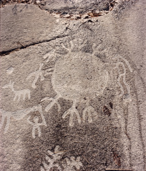 One of the many symbols and themes that constantly recur in Swedish rock carvings is that of the sun