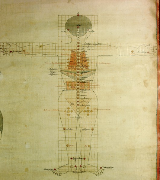 A medical thangka from a version of the commentary on the ancient Four Tantras, the fundamental treatise of Tibetan medicine