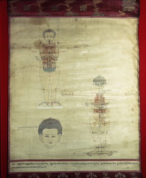 A medical thangka from a version of the commentary on the ancient Four Tantras, the fundamental treatise of Tibetan medicine
