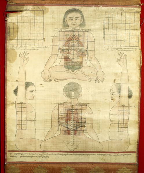 A medical thangka from a version of the commentary on the ancient Four Tantras, the fundamental treatise of Tibetan medicine
