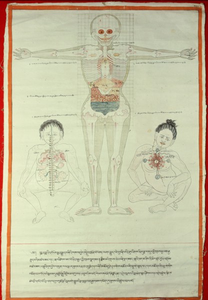 A medical thangka from a version of the commentary on the ancient Four Tantras, the fundamental treatise of Tibetan medicine
