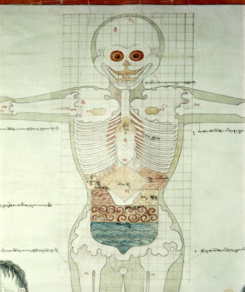 Detail of a medical thangka from a version of the commentary on the ancient Four Tantras, the fundamental treatise of Tibetan medicine