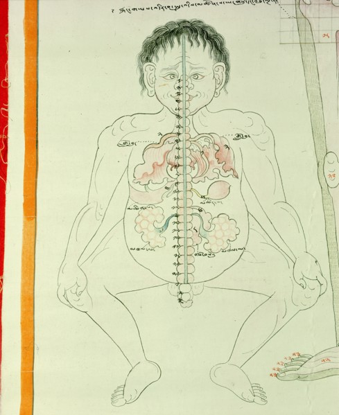 Detail of a medical thangka from a version of the commentary on the ancient Four Tantras, the fundamental treatise of Tibetan medicine