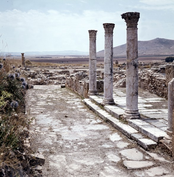 The Roman ruins at Thuburba Majus