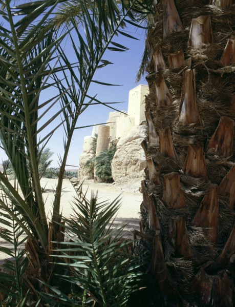 El Atteuf, founded in 1014 - the oldest of the Mzab valley cities