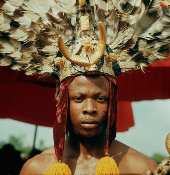 An attendant of the Omanhene of Akrokerri wearing elaborate feather headdress in the procession to celebrate the Yam Festival