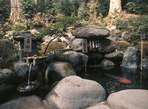 A well in the grounds of Nikko shrine