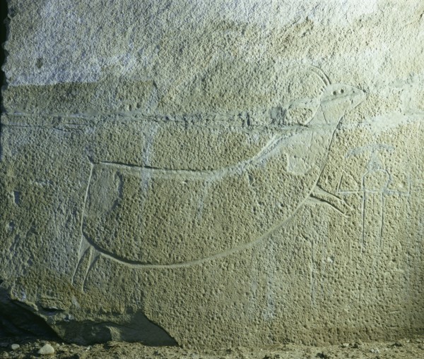 Rock engraving depicting an animal