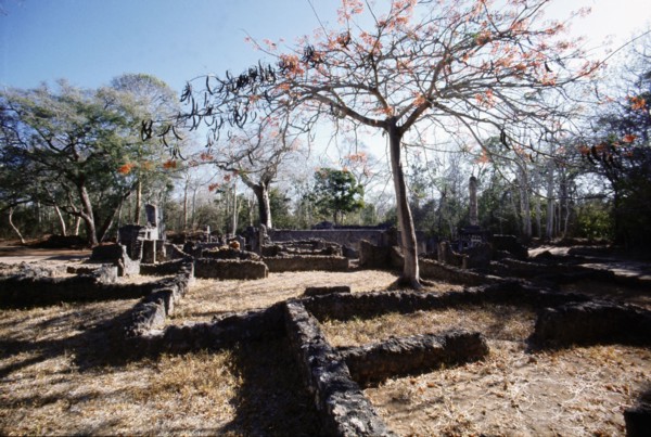 The ruins of Gedi, an important East African city and centre of the slave trade between c