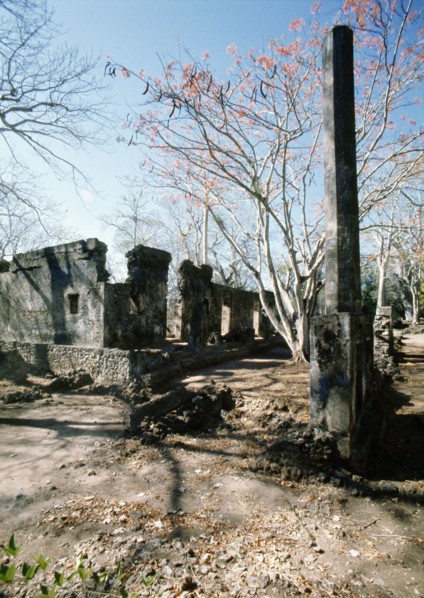 The ruins of Gedi, an important East African city and centre of the slave trade between c