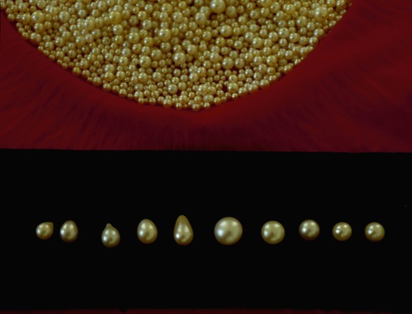 Sorting pearls by size and quality