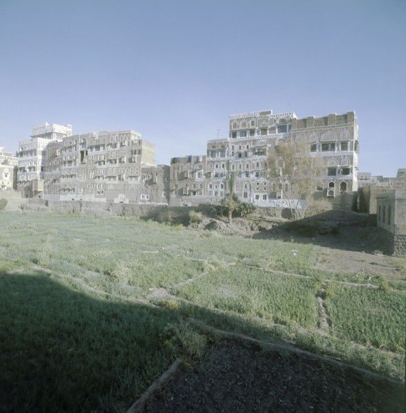 A view of San'a