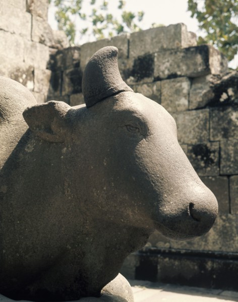 Nandi, the bull mount of Shiva, at the temple of the Lara Jonggrang complex