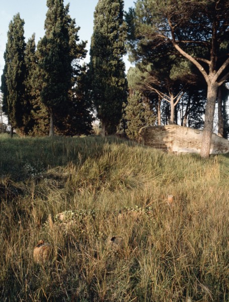 Ostia